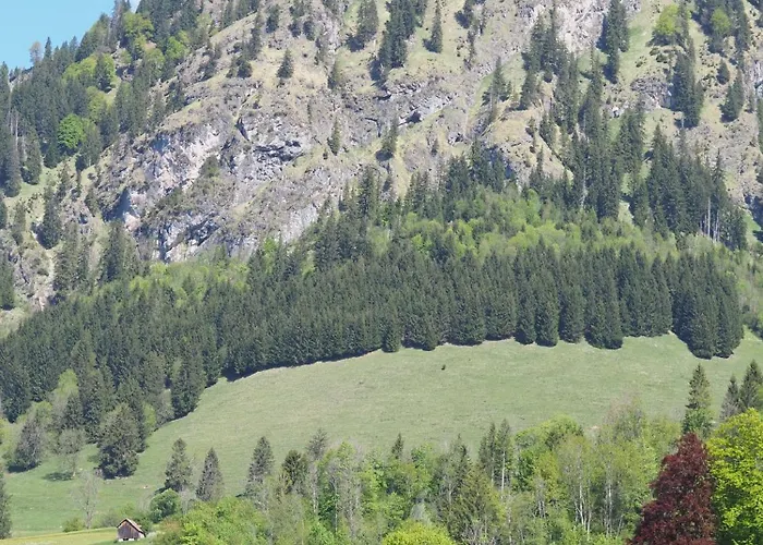 Apartmán Naturnest Durchatmen - Skipass Im Winter Und Bergbahnen Im Sommer Inklusive Bad Hindelang